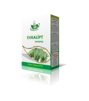 Evkalipt-эвкалипт-Eucalyptus